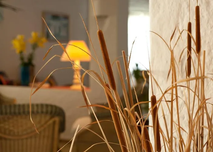 Park 4* Costa Smeralda